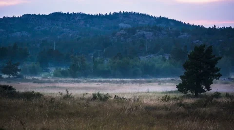 Evening Fog Stock Footage 44040031