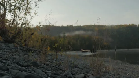Evening fog over forest Video stock 170812658