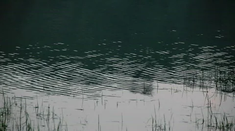 Evening Stock Footage 698649