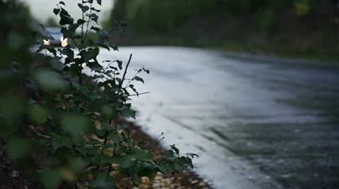 At evening Stock Footage 12292709