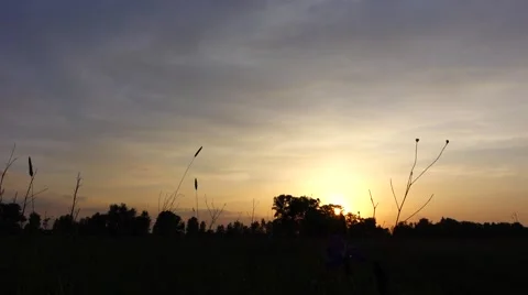 Evening Stock Footage 56606770