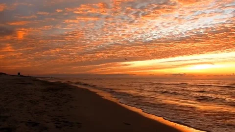 Evening 動画素材 218312102