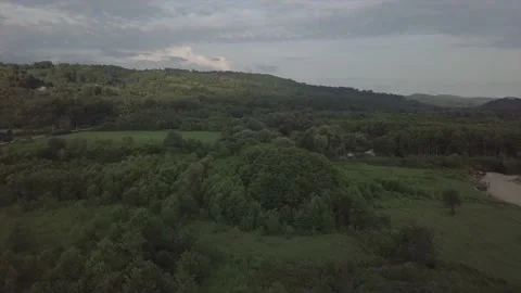 Evening forest in Abkhazia. Stock Footage 148656266