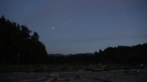 Evening Forest and Shore Under Moonlit Sky Stock Footage 313812338