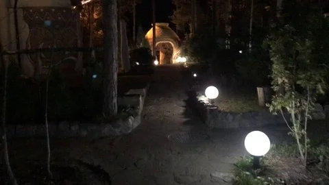 Evening in the forest. 動画素材 95730825