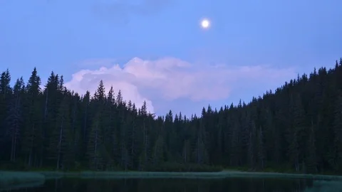 Evening on forest lake Stock Footage 82536517