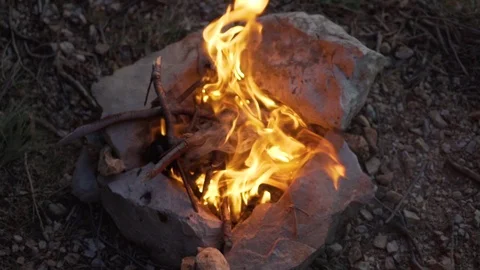 Evening in the forest, lit a bonfire. The fire burns brushwood, branches Stock Footage 124550010