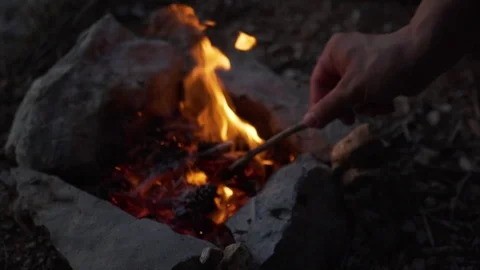 Evening in the forest, lit a bonfire. The fire burns brushwood, branches Stock Footage 124550042