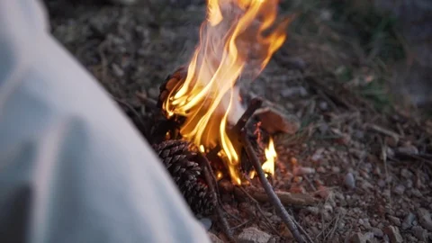 Evening in the forest, lit a bonfire. The fire burns brushwood, branches Stock Footage 124550148