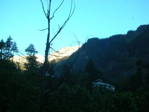 An evening in the forest Stock Photos