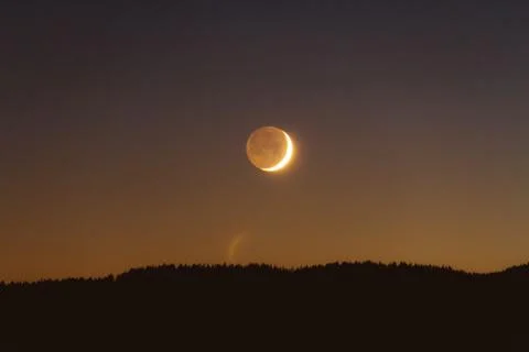 Evening forest scenery in shadow with moon on sky while sunset Stock Photos