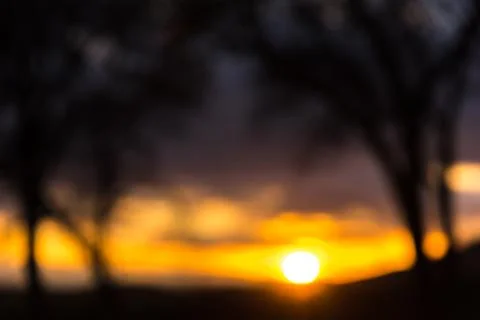 An evening at the forest with the sun in the view Stock Photos