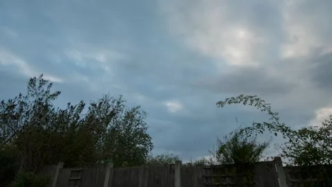 Evening garden sky timelapse Stock Footage 283830745