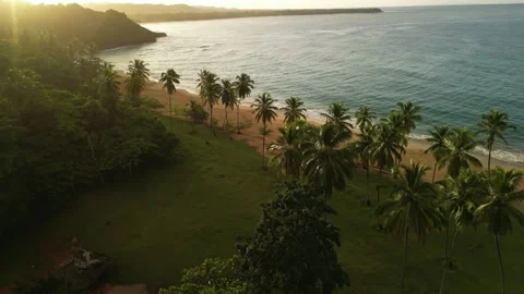 Evening Glow Across Pristine Tropical Beach-08 Video stock 322519464