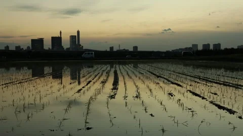 Evening Glow from Minuma Rice Fields to Saitama Shintoshin Stock Footage 333227639