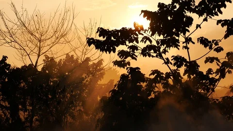 Evening haze Stock Footage 103359704