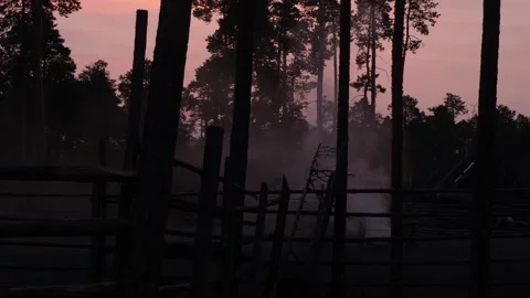 Evening haze in the reindeers camp Stock Footage 280847567