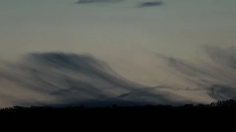 Evening Horizon: Soft Clouds Moving Right to Left Above Tree Silhouettes 库存影片 330938573