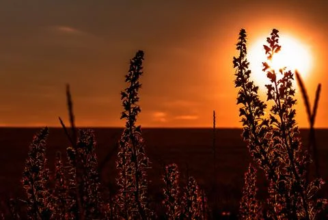 Evening of a hot day Stock Photos
