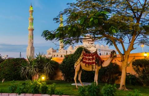 Evening in hurghada. egypt Stock Photos