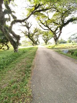 Evening jogging healing Stock Photos