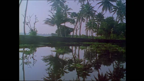 Evening on Kerala Backwaters - India Video stock 240054320
