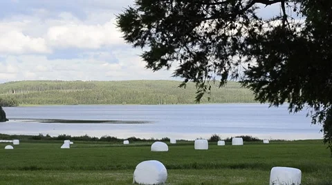 Evening lake Stock Footage