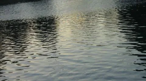 Evening lake Video stock 12622547