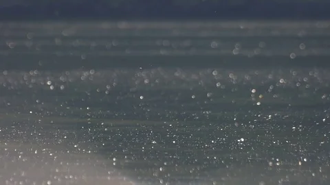 Evening lake Stock Footage 76646103