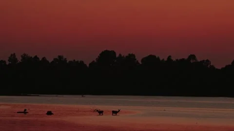 Evening lake Stock Footage 281494752