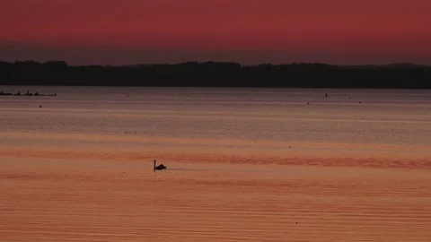 Evening lake Video stock 281494951