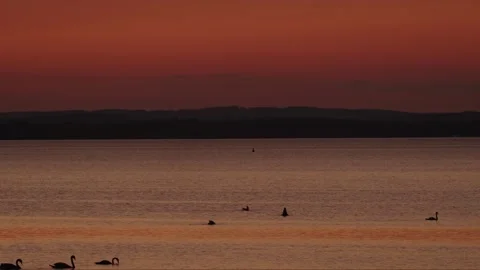 Evening lake Video stock 281494984