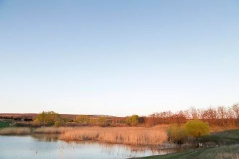 Evening on the lake. Stock Photos