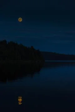 Evening at the lake Stock Photos