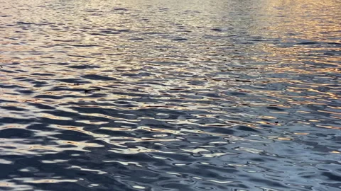 An evening lake sea with light reflection, handheld camera Stock Footage 276159343