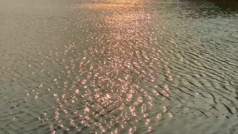 An evening lake sea with sun reflection Stock-Footage 253289607