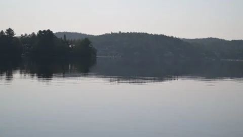 Evening lake view Stock Footage 297792320