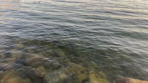 Evening lake, waves Stock Footage 130140498