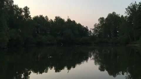 Evening lake with wild ducks Stock Footage 136813035