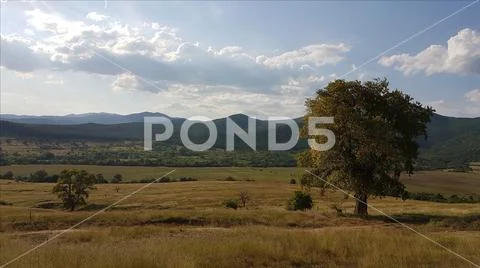 Evening landscape in Bulgaria with clouds, pasture land and tree Stock Photos