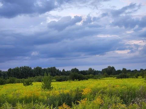 Evening landscape with clouds. Landscape in cloudy weather Stock Photos
