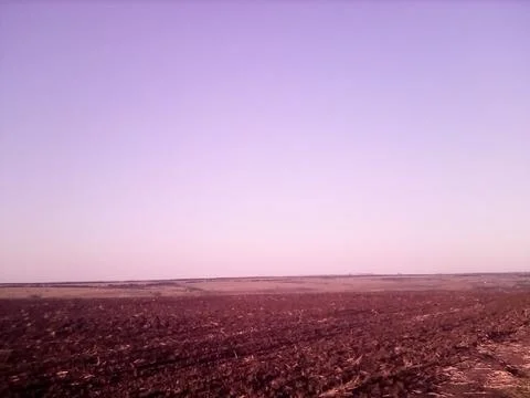 Evening landscape endless field Stock Photos