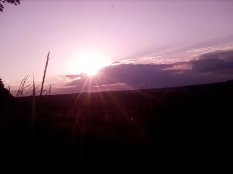 Evening landscape of an endless field Stock Photos