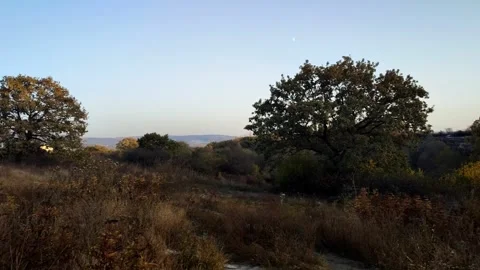 Evening landscape 스톡 동영상 282306808