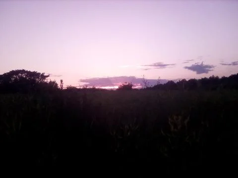 Evening landscape Stock Photos