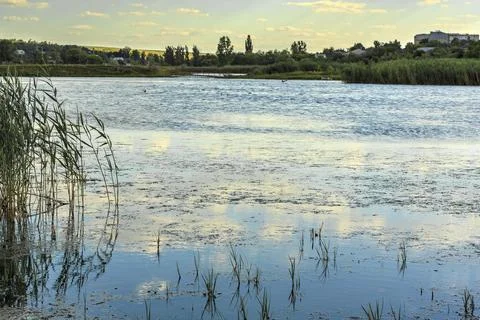 Evening landscape Stock Photos