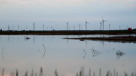 Evening landscape by the pond overlooking the wind farms Stock Footage 164921685