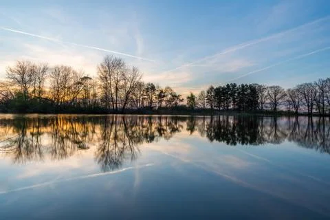 Evening landscape with several trees on side of pond Stock Photos
