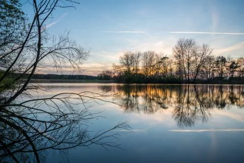 Evening landscape with several trees on side of small pond Stock Photos