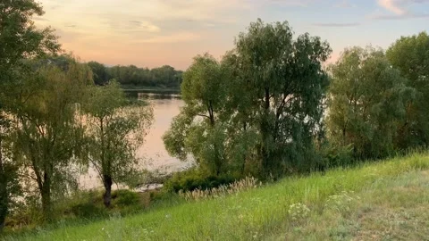 Evening landscape in summer at sunset by the river Stock Footage 145731470